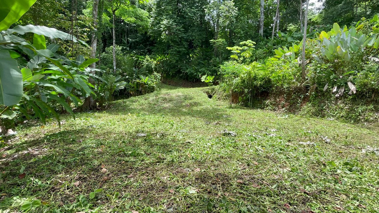 Eduardo Lee 17 Acres: Mountain Agricultural Land For Sale in Bejuco - Gallery image 11
