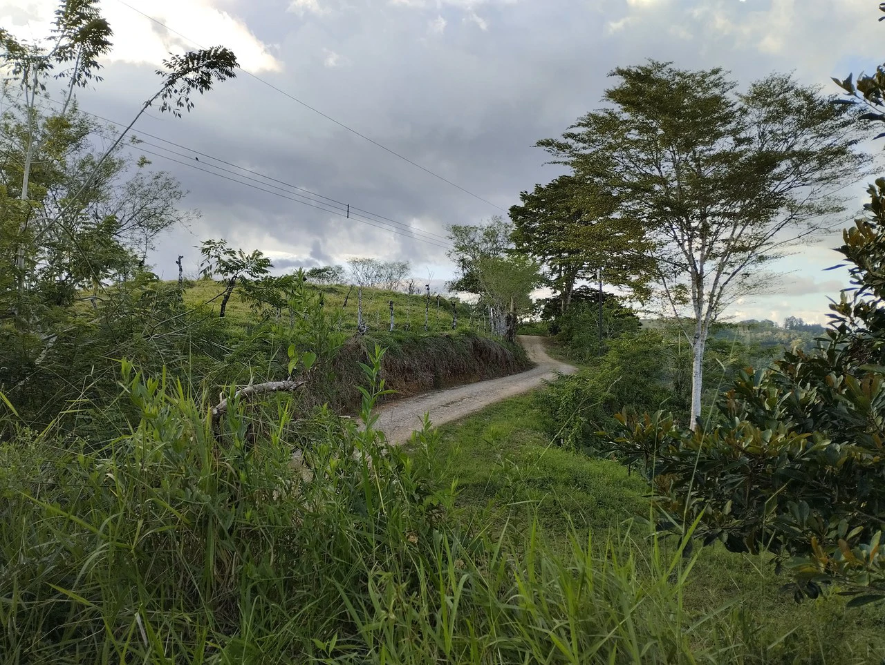 Charming Private Mountaintop home in the perfect climate of San Vito Coto Brus, San Isidro-Perez Zeledon, San Vito, San Jose, Costa Rica - Gallery image 7