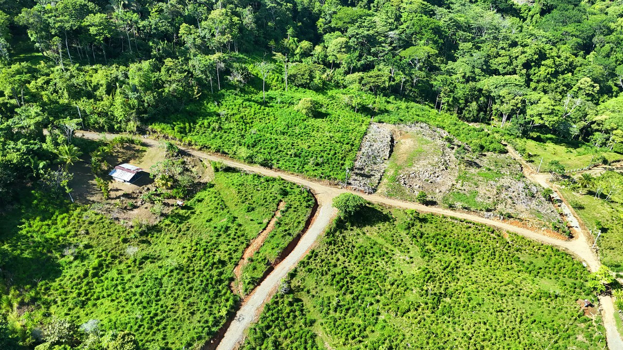 Near the Coast and Mountain Home Construction Site For Sale in Uvita - Gallery image 6