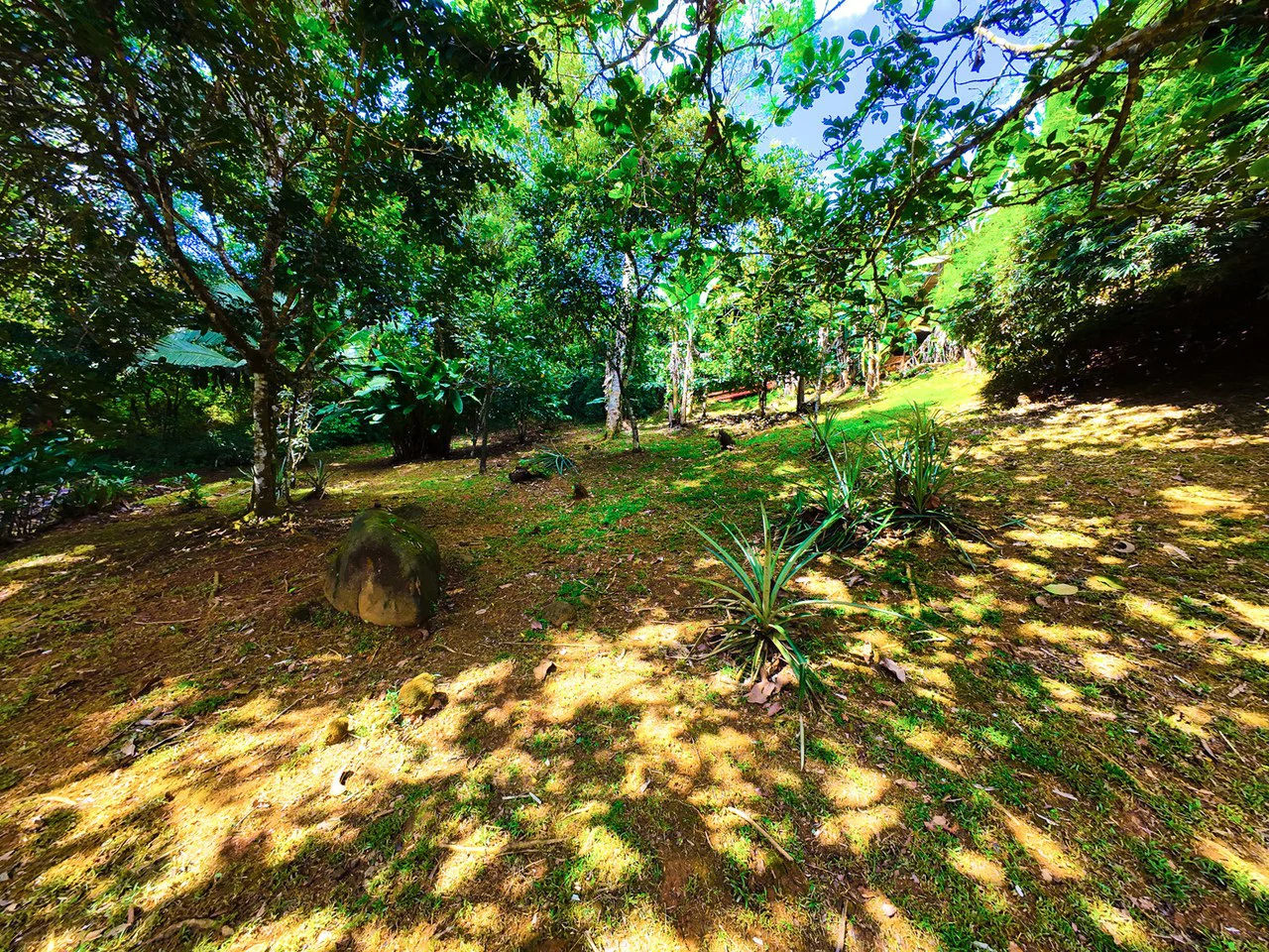Serene Jungle Home + Guest Cabin on 3 Acres and River - Gallery image 26