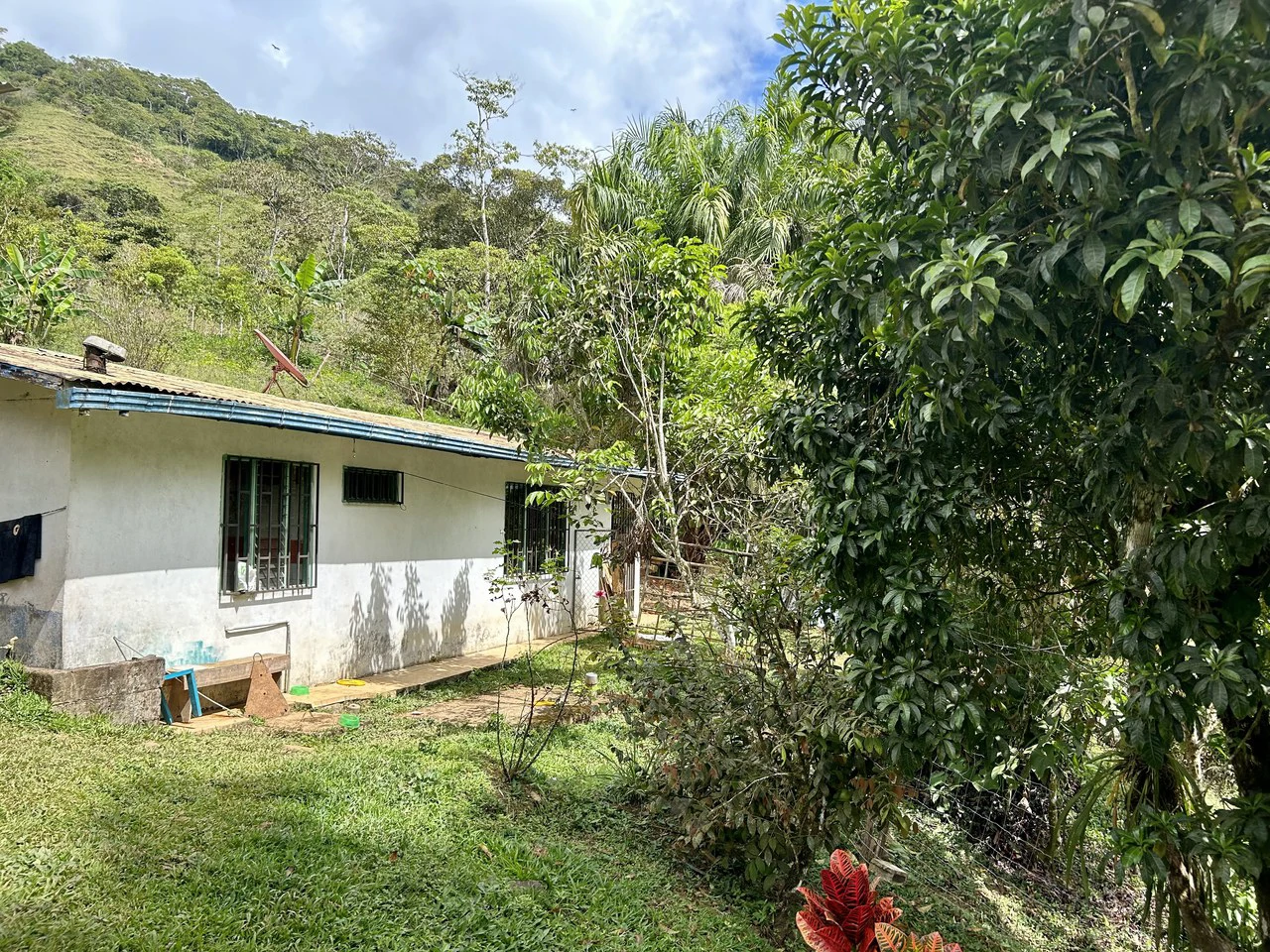Finca Ceibo Memo: Mountain Home Construction Site For Sale in San Isidro del General - Gallery image 10