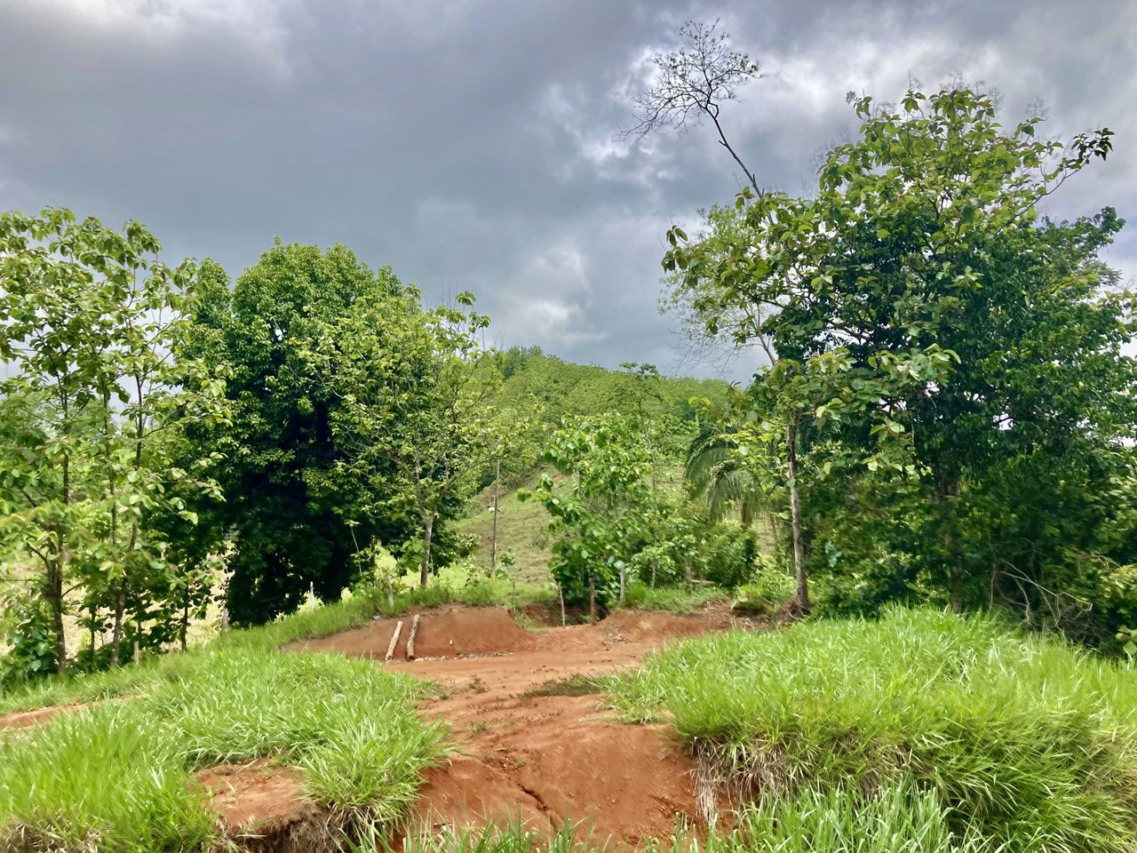 Frog Desing House: Property for Sale in Parrita, Costa Rica - Gallery image 29