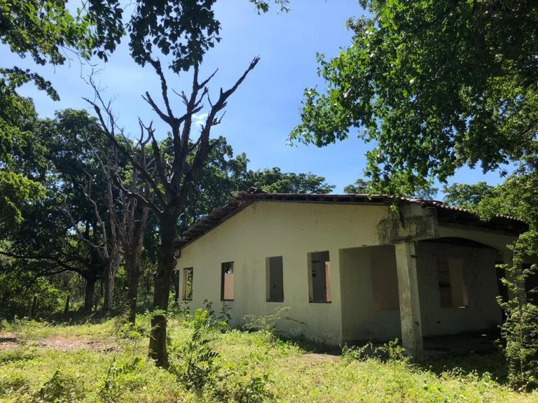 HIGHWAY TO HEAVEN: Commercial potential ! Large property on the Panamerican Highway. - Gallery image 5