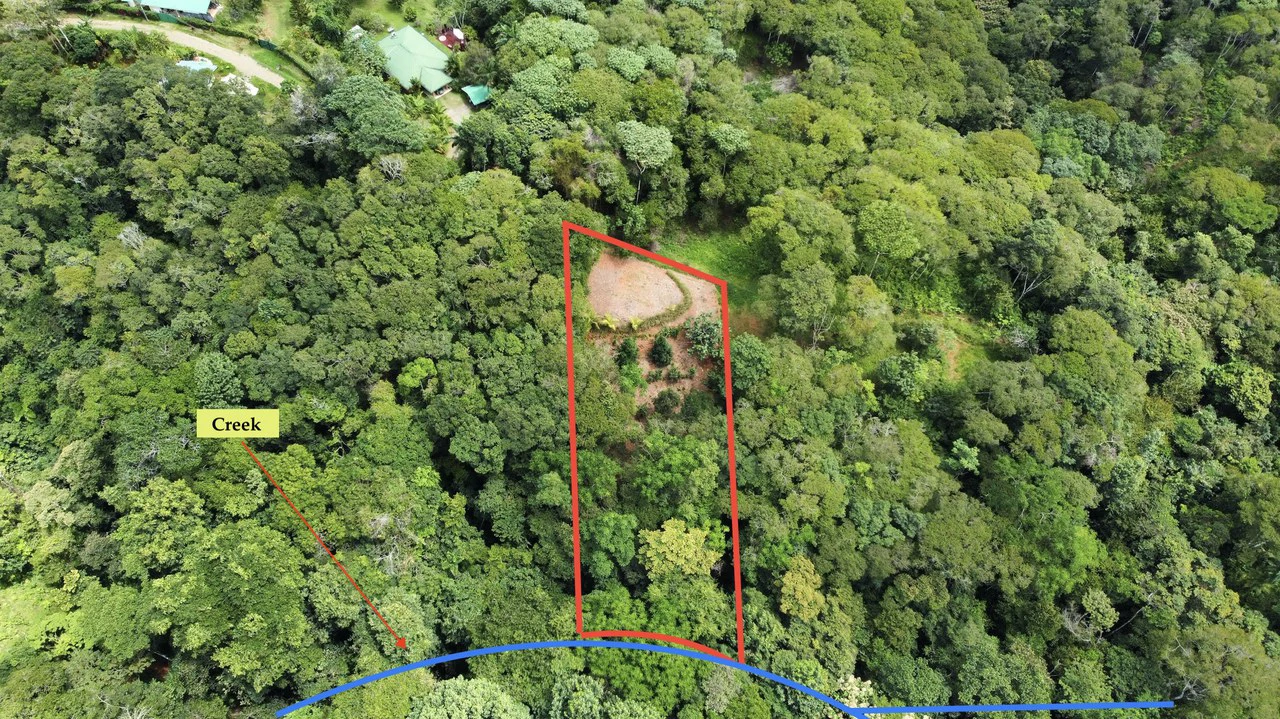 HALF ACRE LOT IN PLATANILLO, MINUTES TO THE BEACH OF DOMINICAL - Gallery image 2