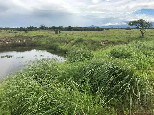 Large Development Land for Sale in Liberia, Guanacaste, Costa Rica - Gallery image 49