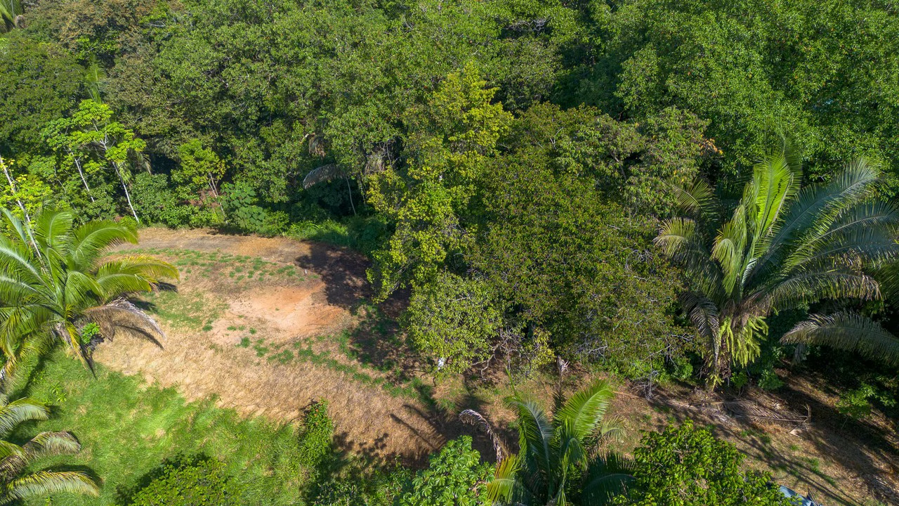Surfers Paradise! Two Usable Lots for Building in Playa Hermosa Near Uvita!!: Mountain Home Construction Site For Sale in Playa Hermosa - Gallery image 6