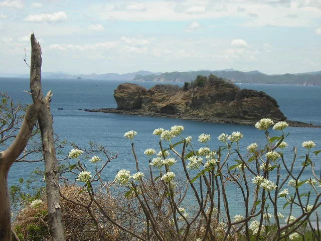 Playa Rajada, 10 HA, white sand beach: on the Pacific Ocean is located on the furthest  Northern Peninsula - Gallery image 14