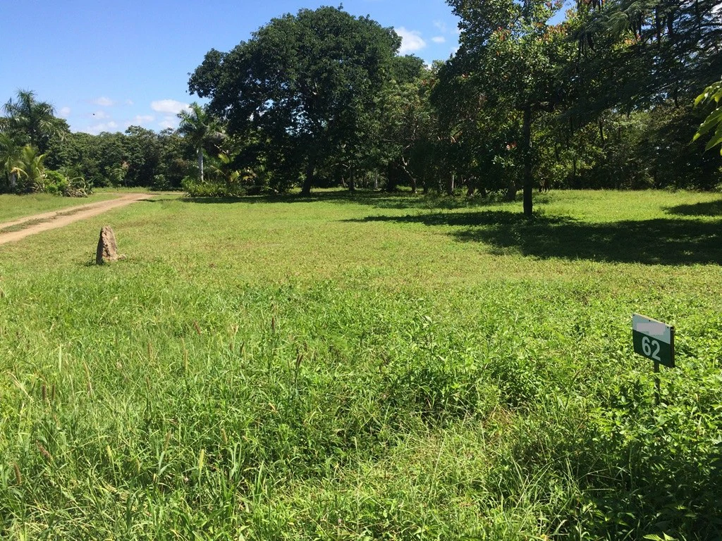Great Ocean, valley and garden view Lots for sale in a Private Gated Community in Peninsula Papagayo - Gallery image 6
