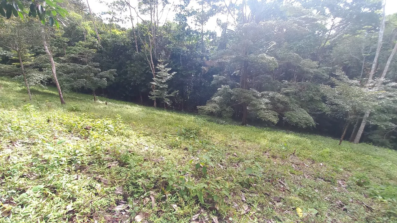 Home with Additional Building Areas and Creek on 3.5 Acres - Gallery image 48