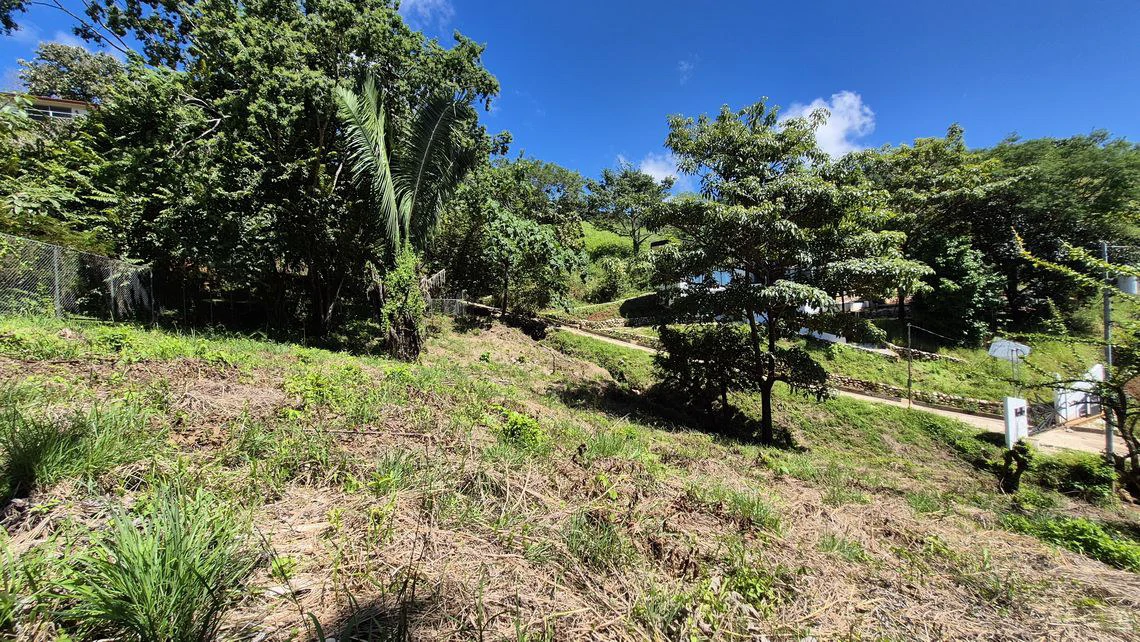 LOTE ALTO: Last Affordable 857 m² Lot in Peaceful Santo Domingo Village, Just 10 Minutes from Samara Beach - Gallery image 5