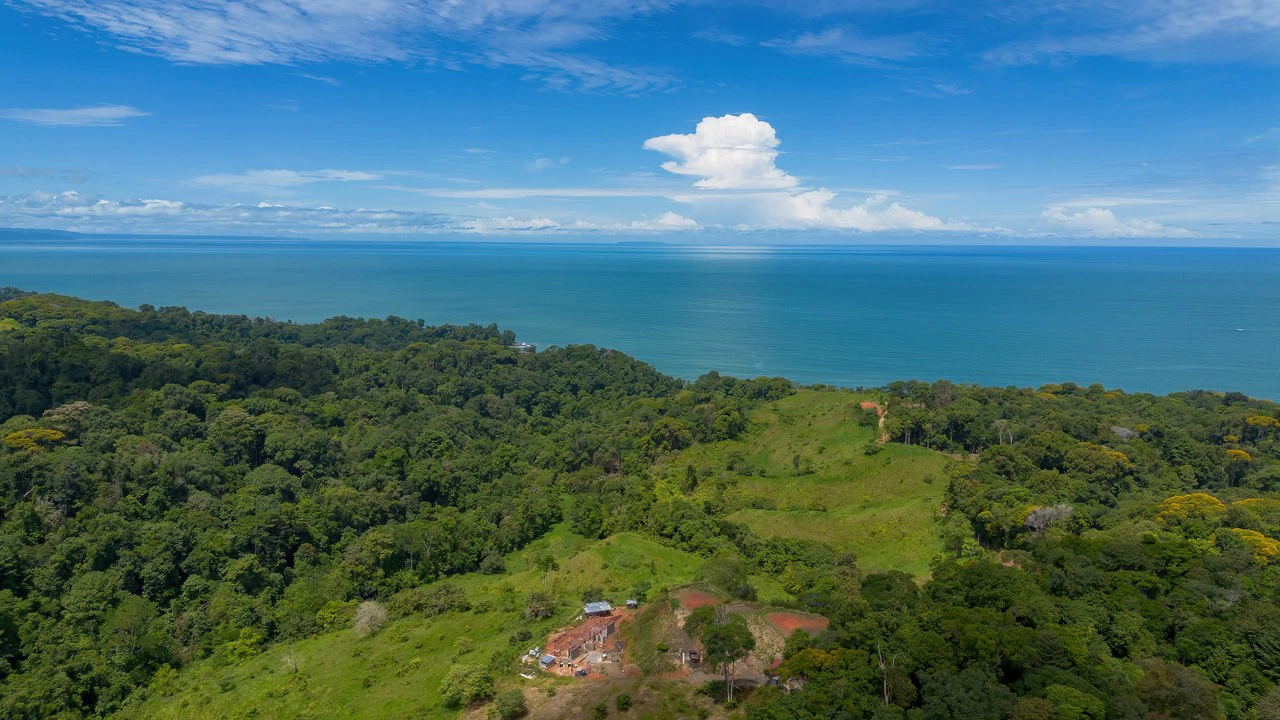 Luxury Ocean View Lot in Piñuelas - Premier Building Site - Gallery image 11