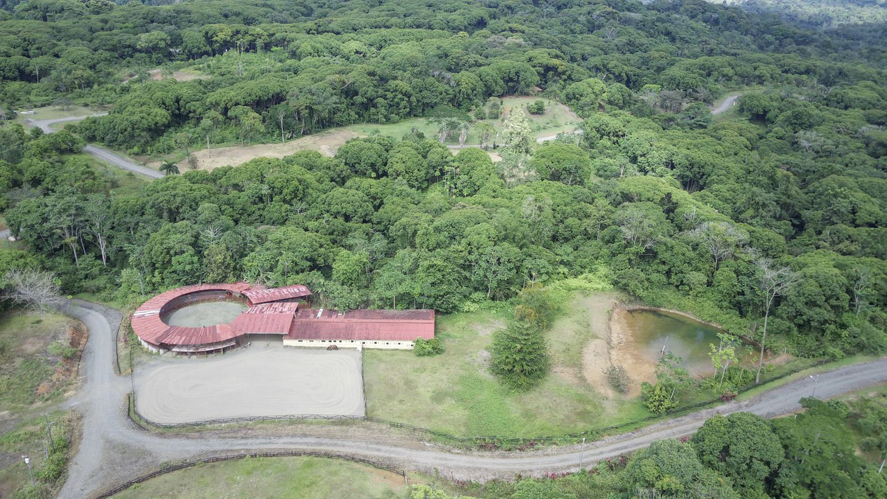 Serene Jungle Farm in Limon Province - Gallery image 14