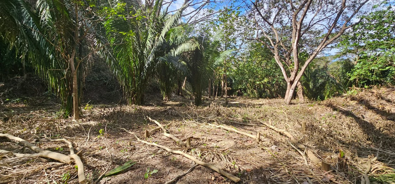 1-Acre Lot with Seasonal Creek - Build Your Dream Home, Rentals, or Business - Gallery image 4