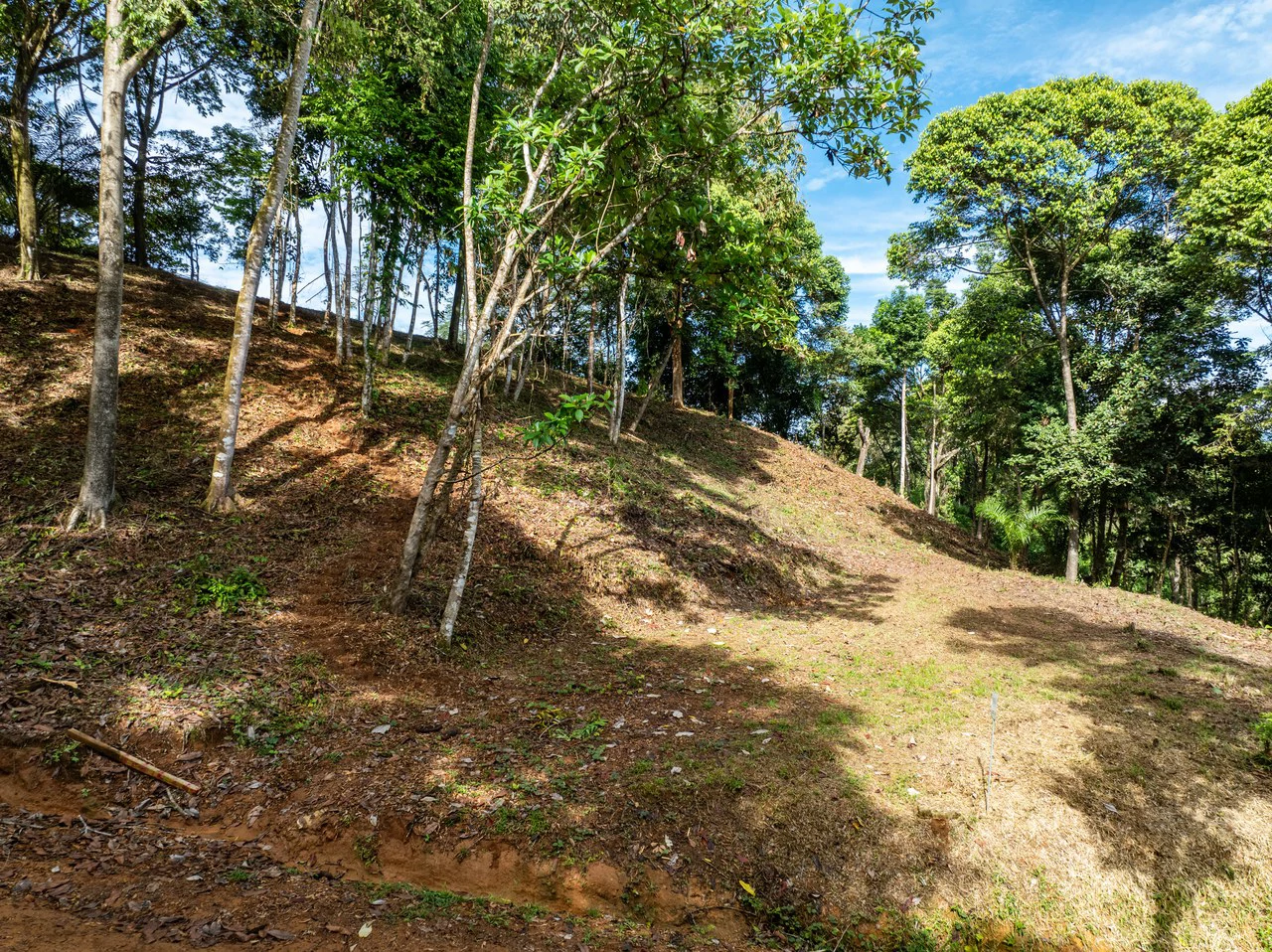 2.9 Acre Paradise with Diamante Valley Views Dominical - Gallery image 8