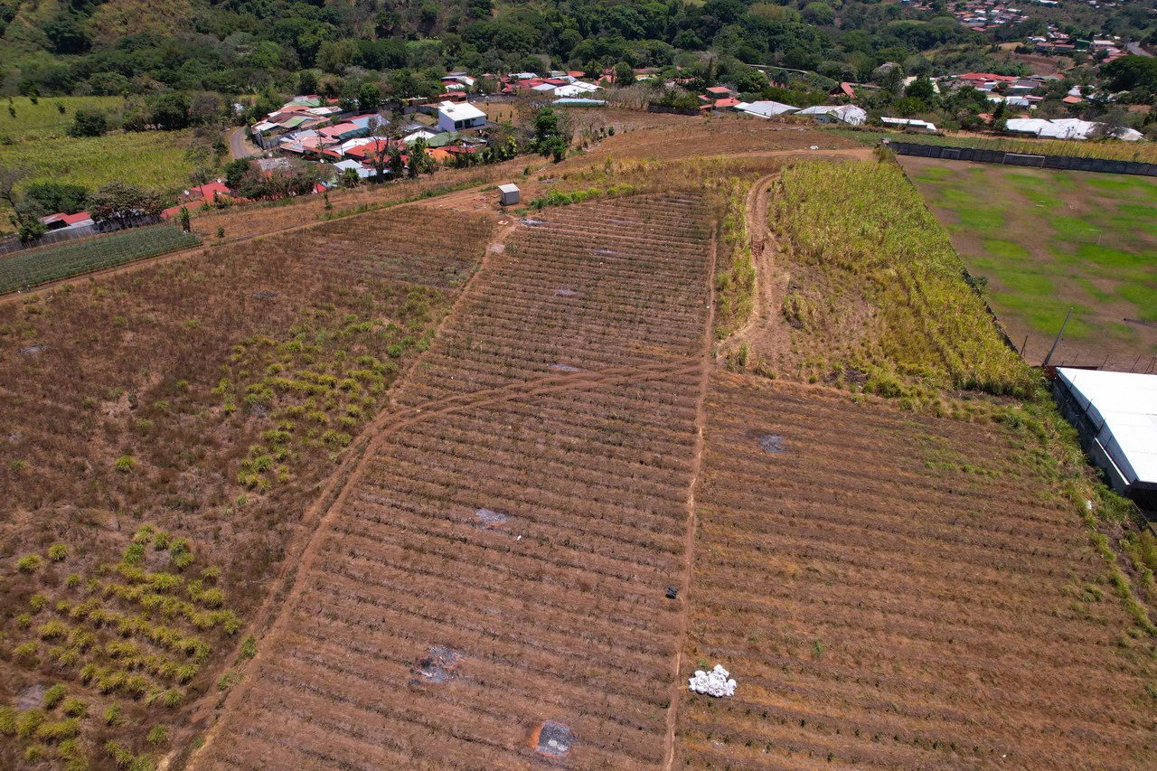 Land for Sale for Investment in Grecia - Gallery image 7