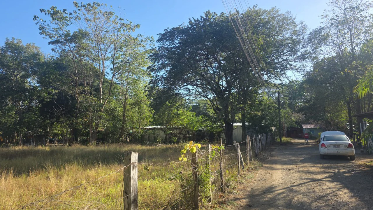 3 Commercial lots for sale in Artola with 70 m of public road frontage - Gallery image 3