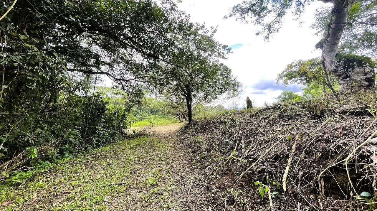 LAND FOR SALE IN SAN MIGUEL, NARANJO - Gallery image 4