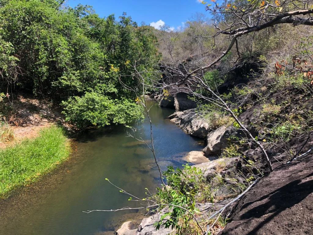 Big Farm: Property of 231 hectares in the Salto de Bagaces - Gallery image 16