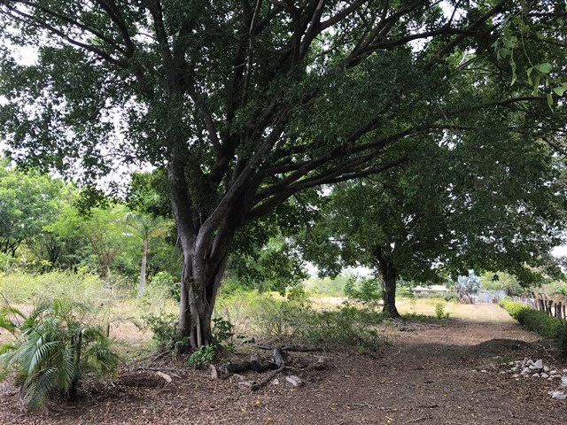 Great property in Santa Cruz: Excellent opportunity to develop in excellent location - Gallery image 15