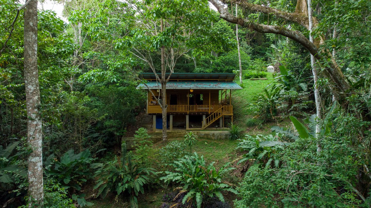 4 Bd/3 Ba - Two Caribbean Homes w/ Pool, on 5000m²: Dual Home Jungle Property in Punta Uva