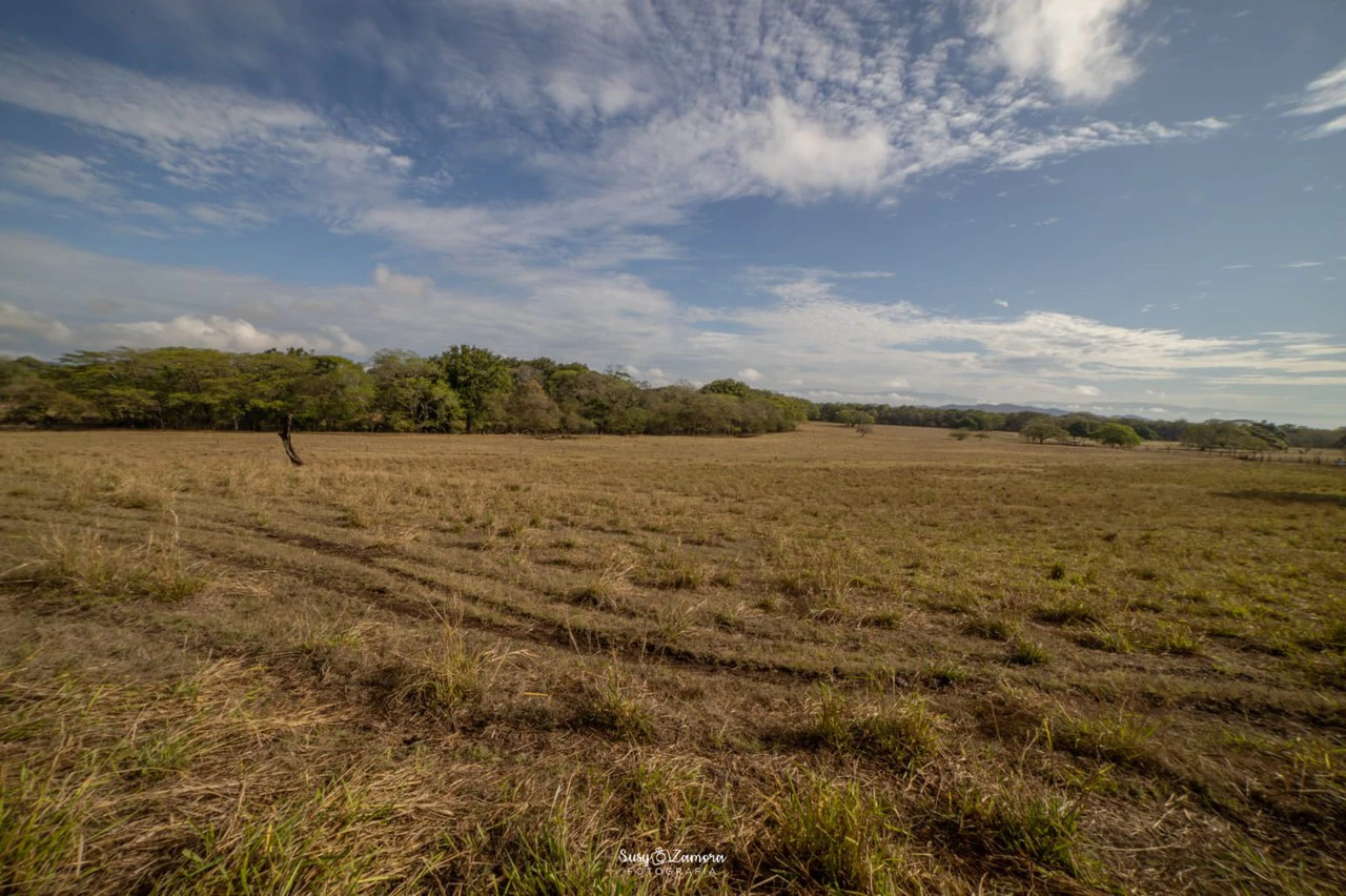 Land for Sale Lepanto Puntarenas overlooking the Gulf Costa Rica - Gallery image 15