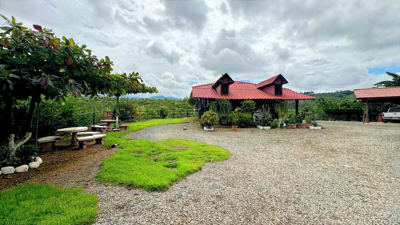 Charming Hardwood Cabin with Fruit Garden Near San Isidro - Gallery image 9