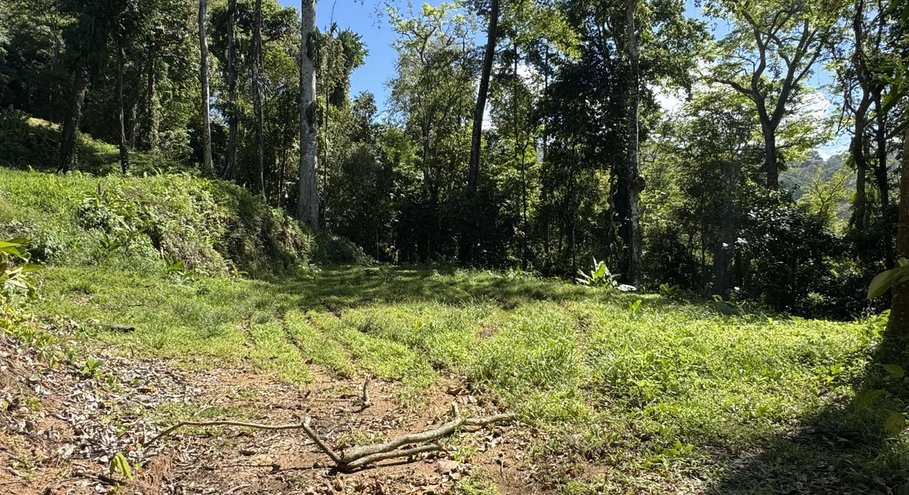 Two Ocean View Lots in Uvita – Easy Access and Large Building Sites - Gallery image 6