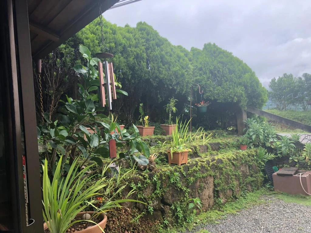 Beautiful Mountain Property for Sale in the Tourist Area of Miravalles, Currently Rented and Operating as a Restaurant – Excellent Investment Opportunity - Gallery image 30
