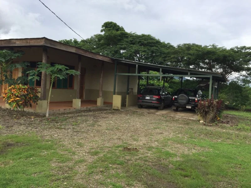 Farm in Nicoya. Reforestation. Cattle Raising. Recreation.