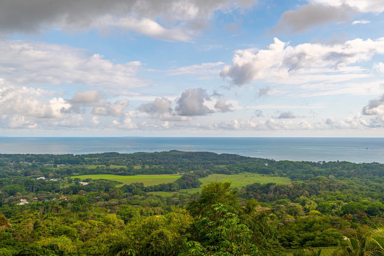 Lion's Gate Sunset Estate - Gallery image 68