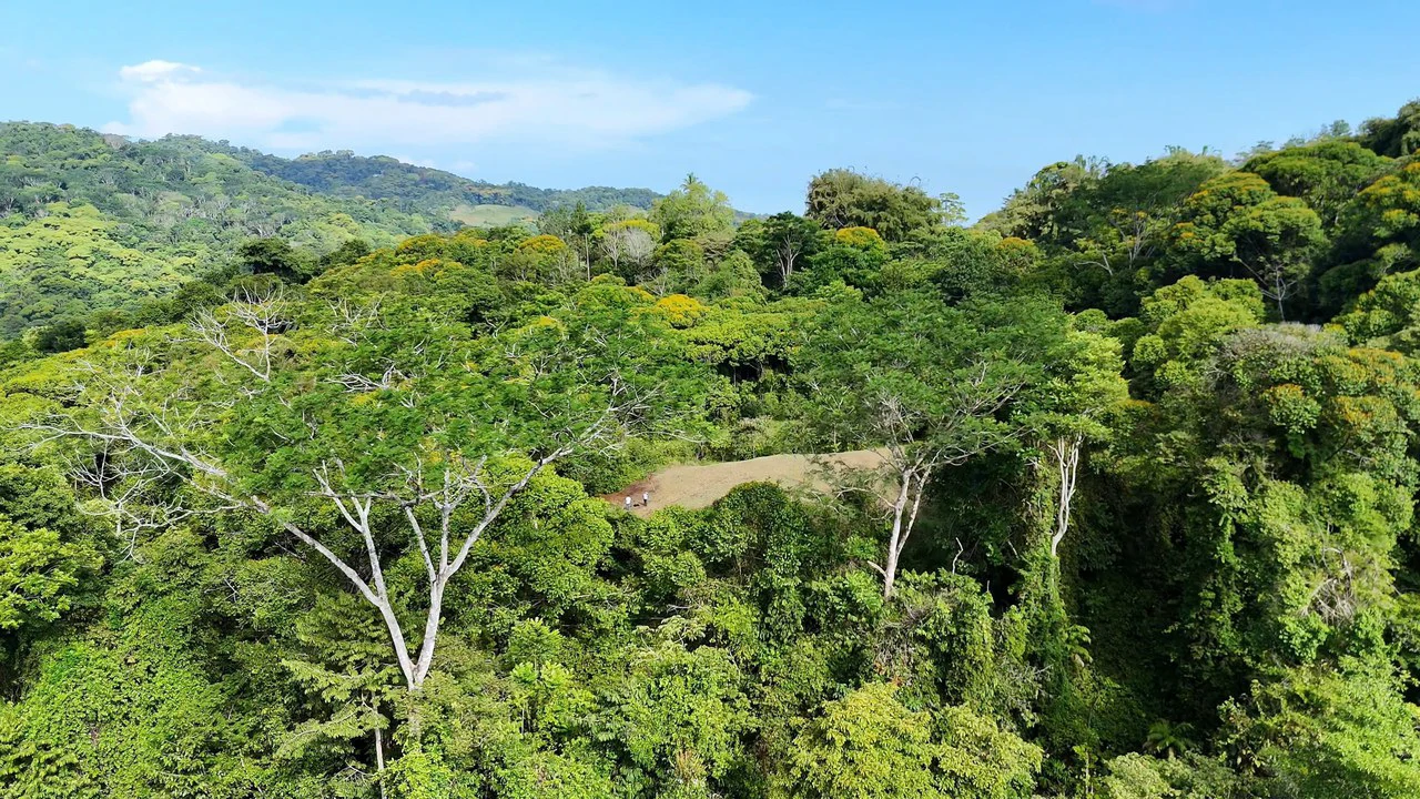 FINCA EN BARÚ GUSTAVO-149760: Mountain Agricultural Land For Sale in Barú - Gallery image 4