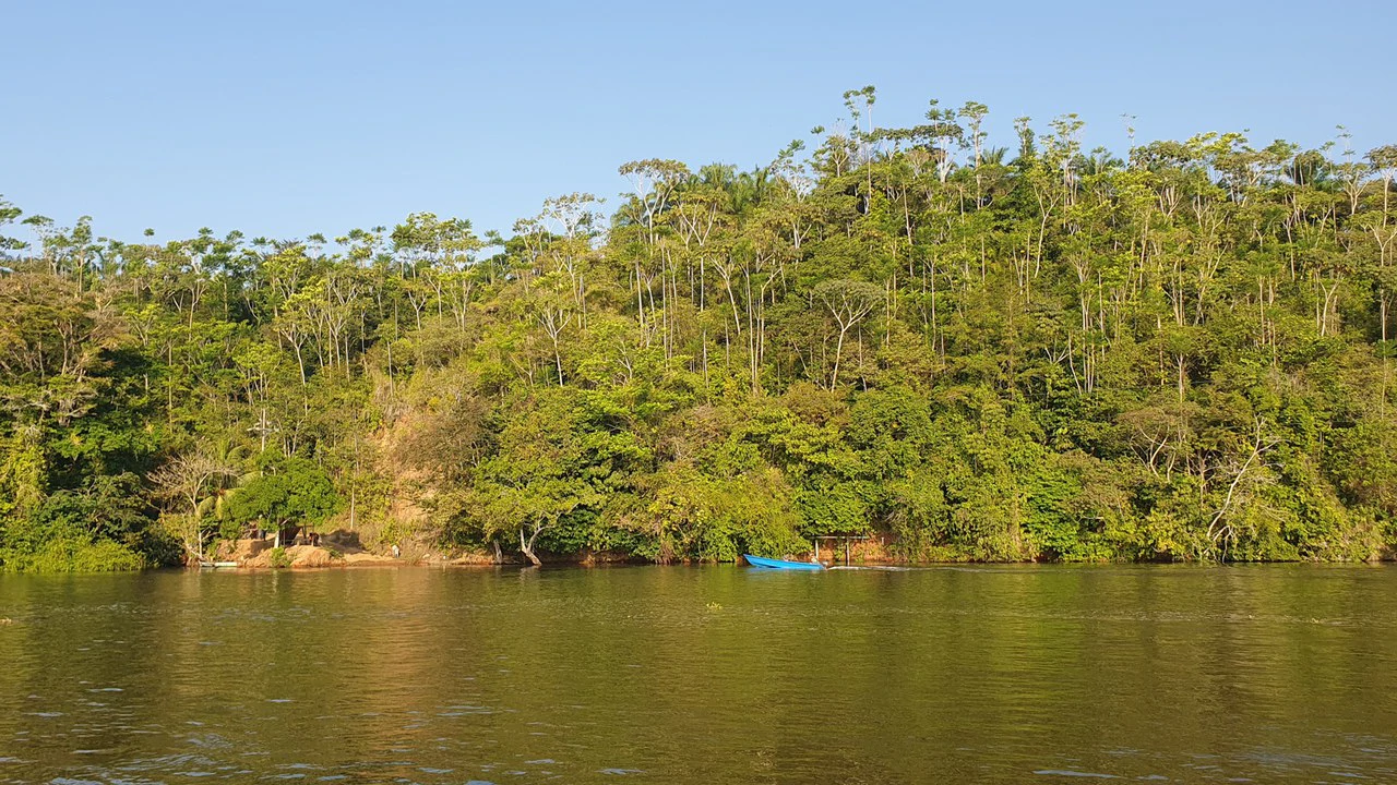 CONSERVATION AND DEVELOPMENT LAND WITH OCEAN VIEW IN SIERPE, COSTA RICA - Gallery image 4