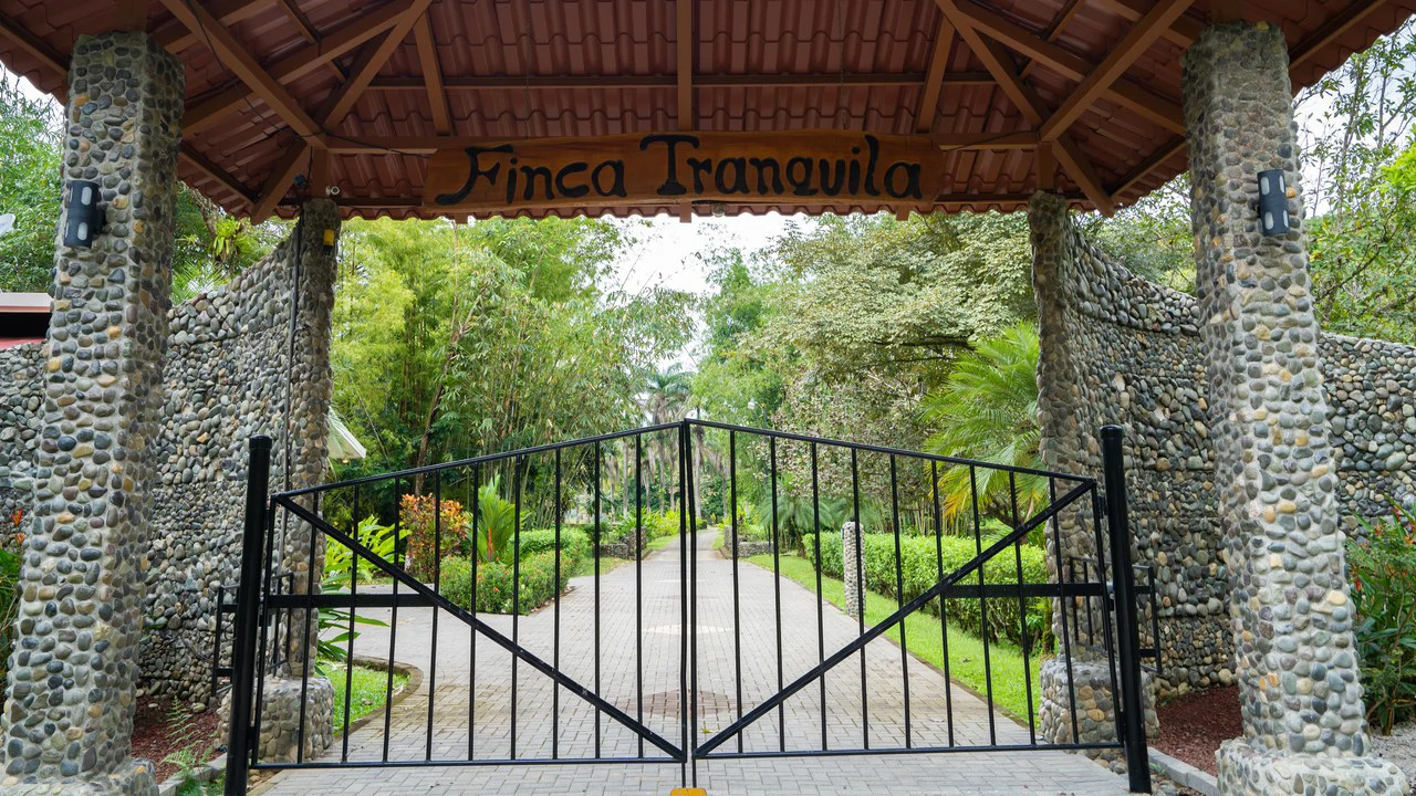 Stunning Tropical Home in Gated community with Hundreds of fruit trees: Mountain House For Sale in Naranjito - Gallery image 41