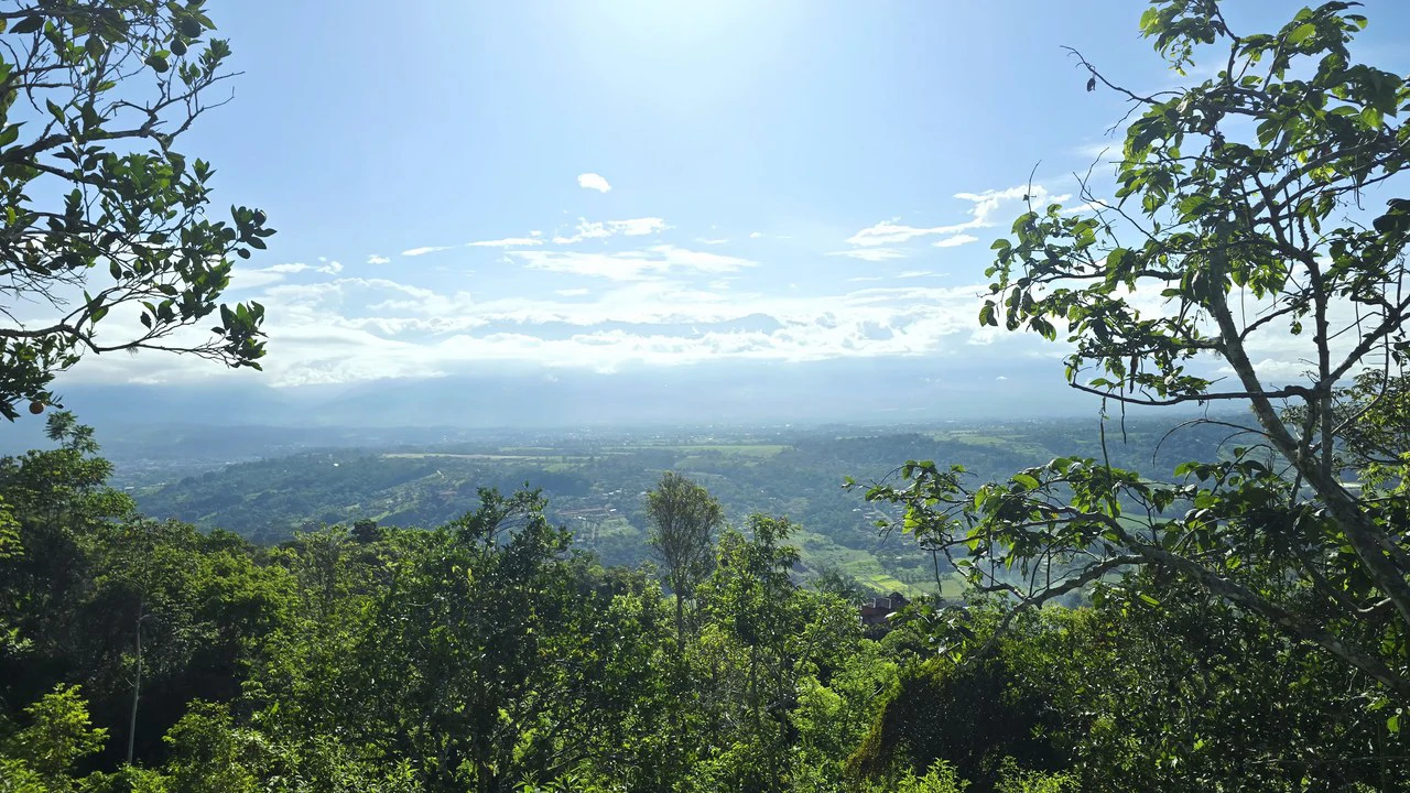 Mountain Agricultural Land For Sale in San Isidro del General - Gallery image 14