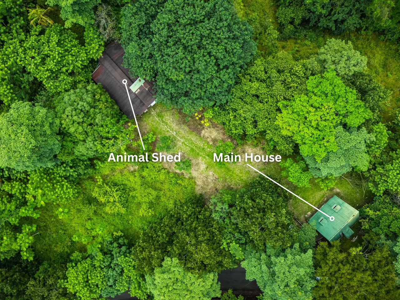 Casa Verde: Your Green Dream - Gallery image 14