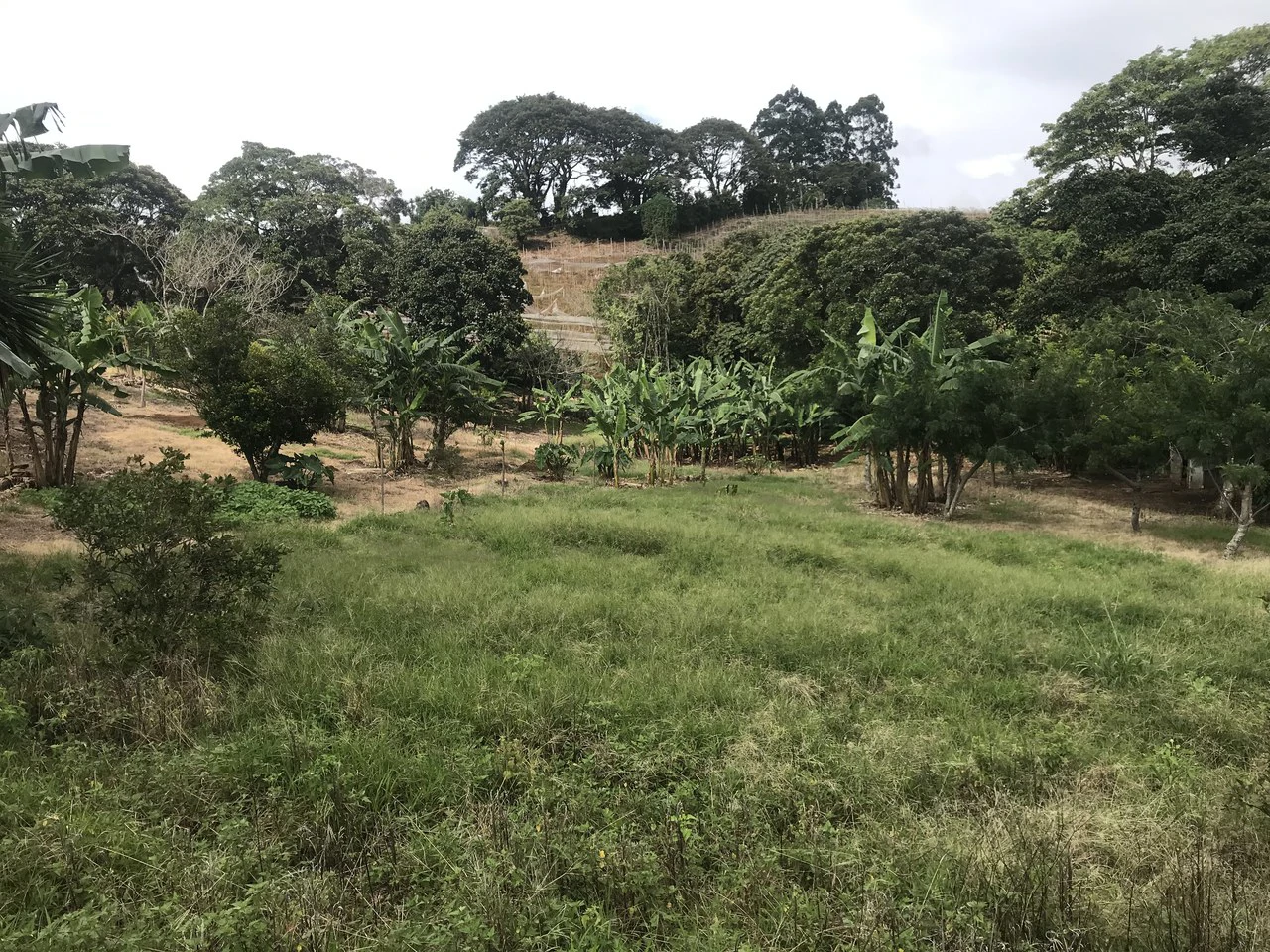 LOTES SAN ISIDRO HEREDIA: BEAUTIFUL LOTS IN SAN ISIDRO  HEREDIA - Gallery image 8