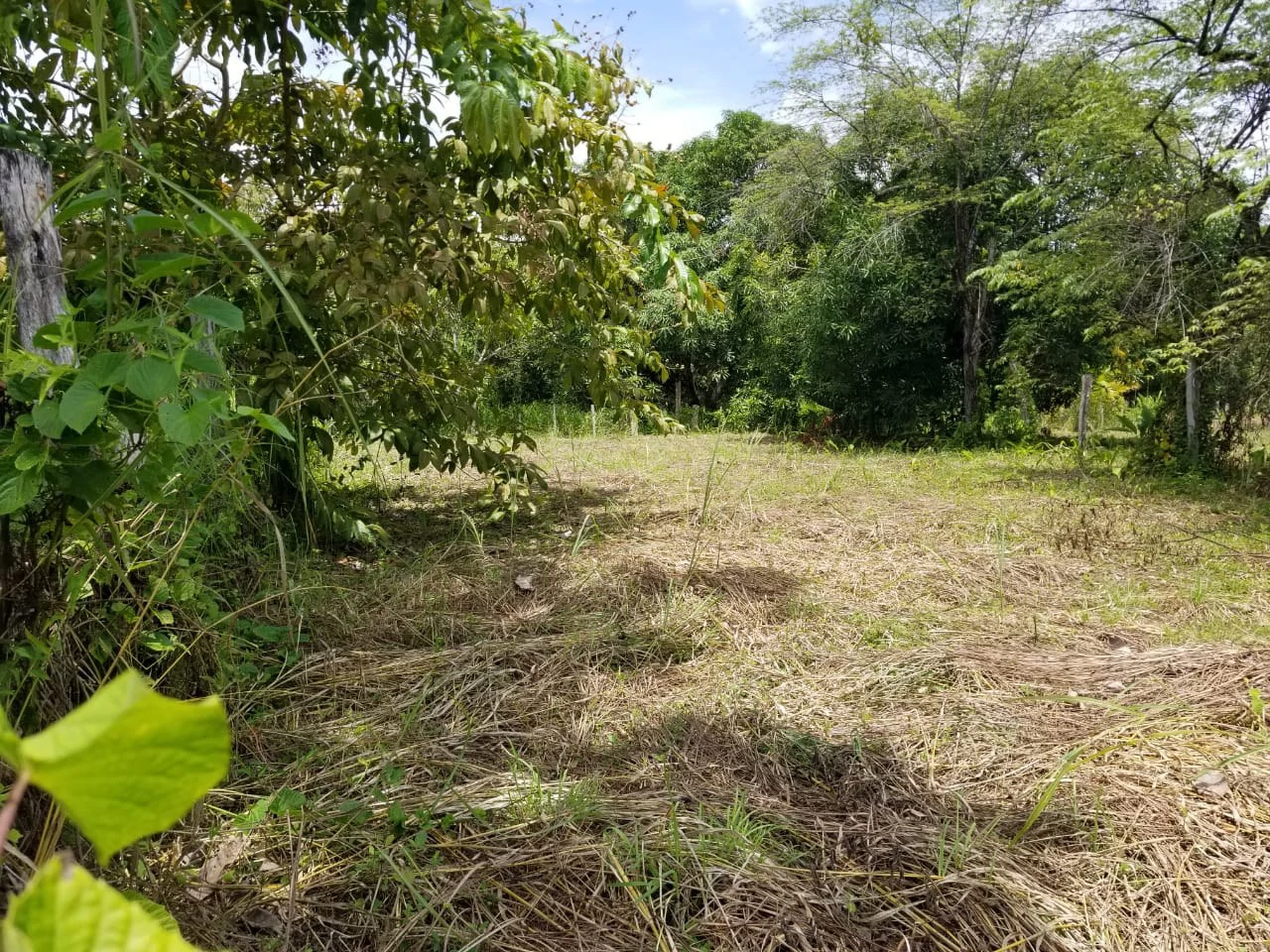 Amazing lot located near Paquera downtown. Now Available! - Gallery image 4