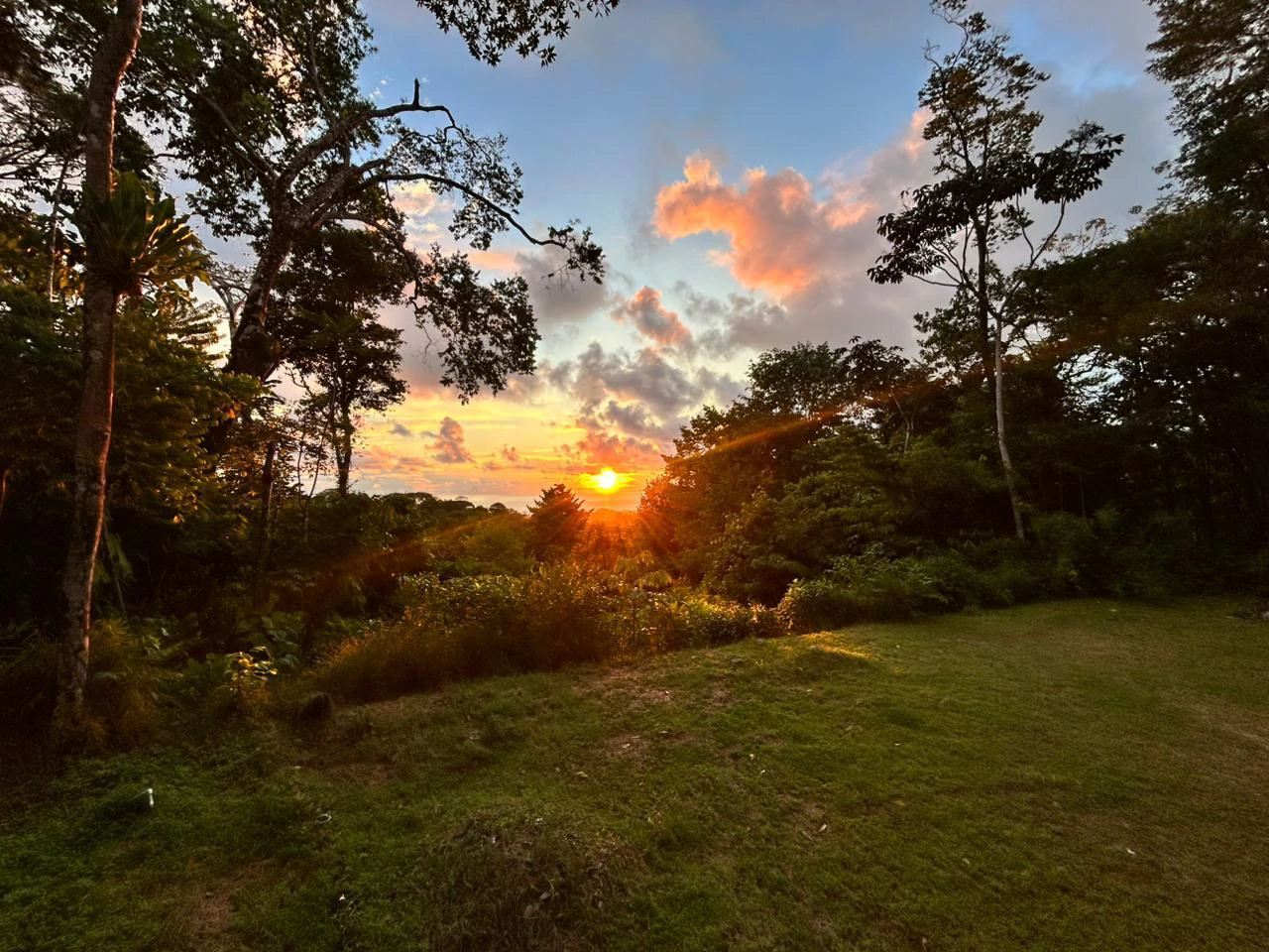 1.7 Acres Ocean View Lot with Producing Cabin in Uvita - Gallery image 24