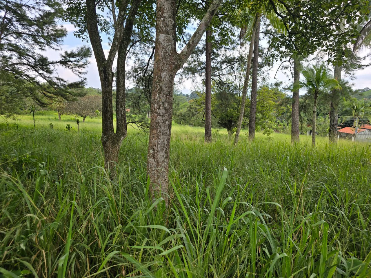 Land for sale in Residencial Montisel - Gallery image 6