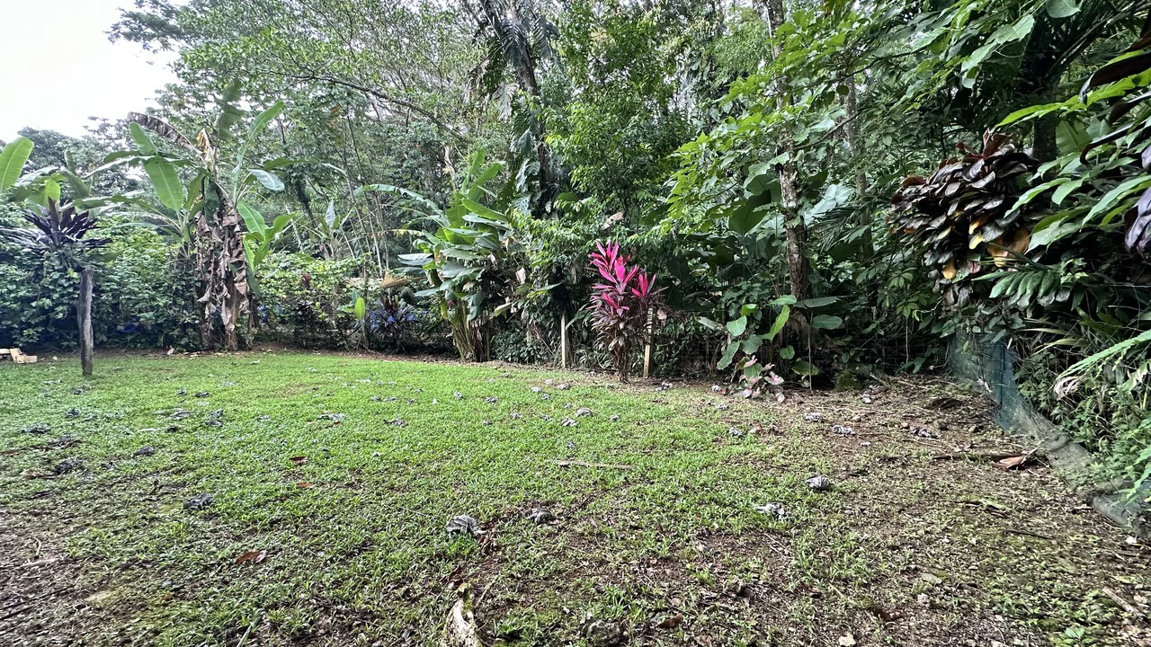 Commercial Space In Prime High Traffic Area in Uvita Costa Rica with garden - Gallery image 15