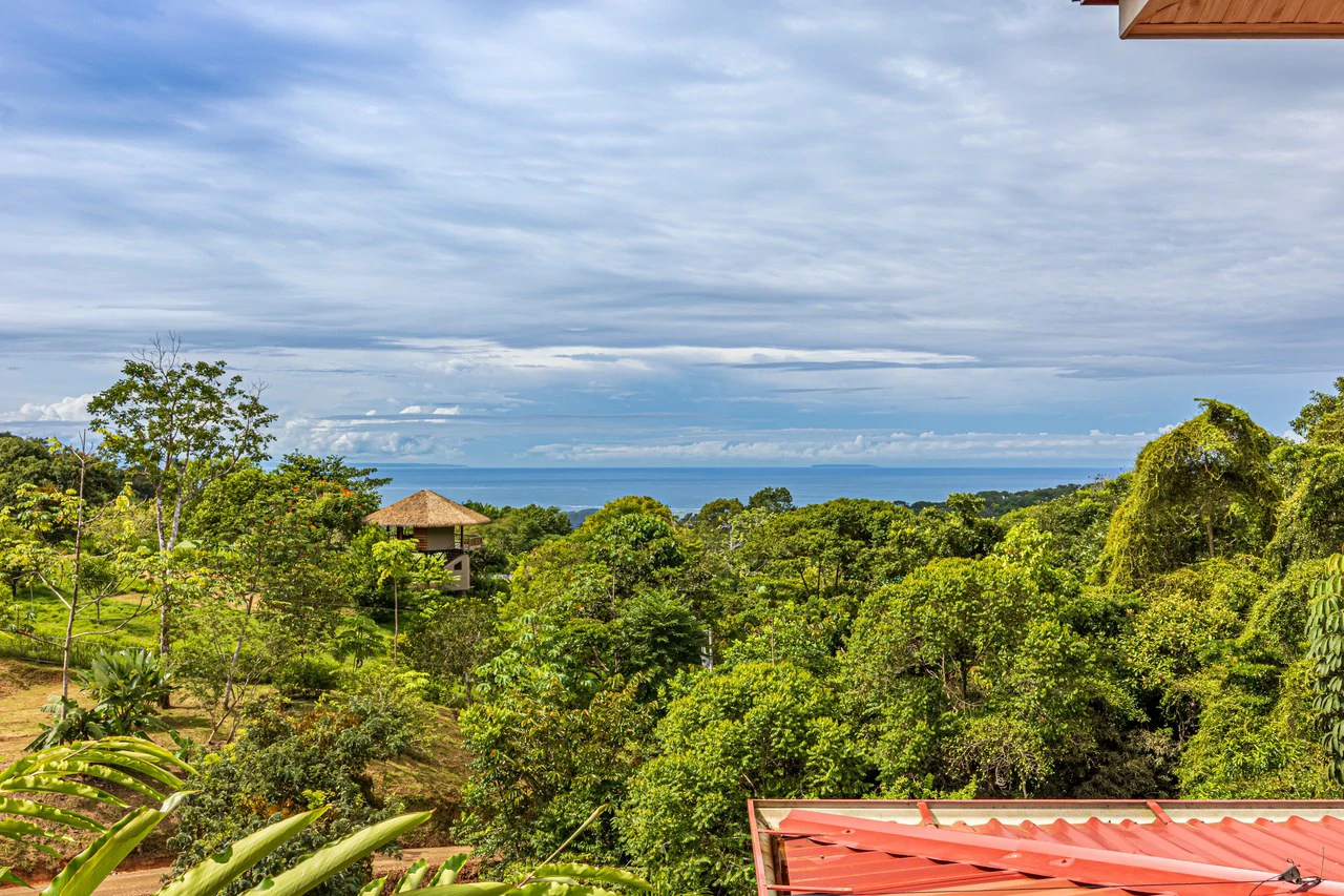 Ocean View Home with Cano Island And Whale Tail Views | San Josecito: Mountain House For Sale in Ojochal - Gallery image 8