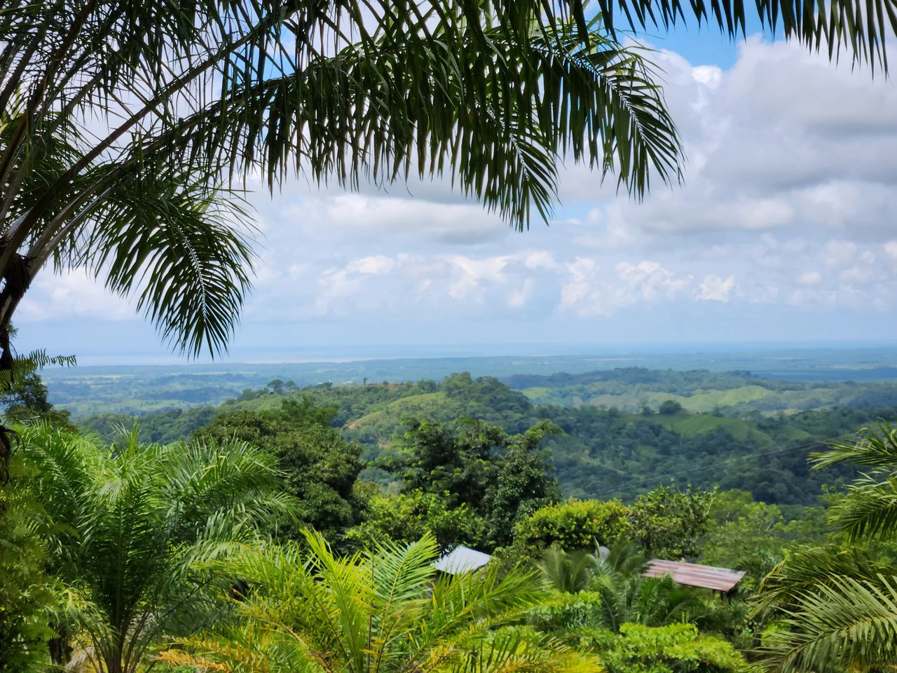 PRIME PARRITA FARM FOR SALE - Gallery image 6