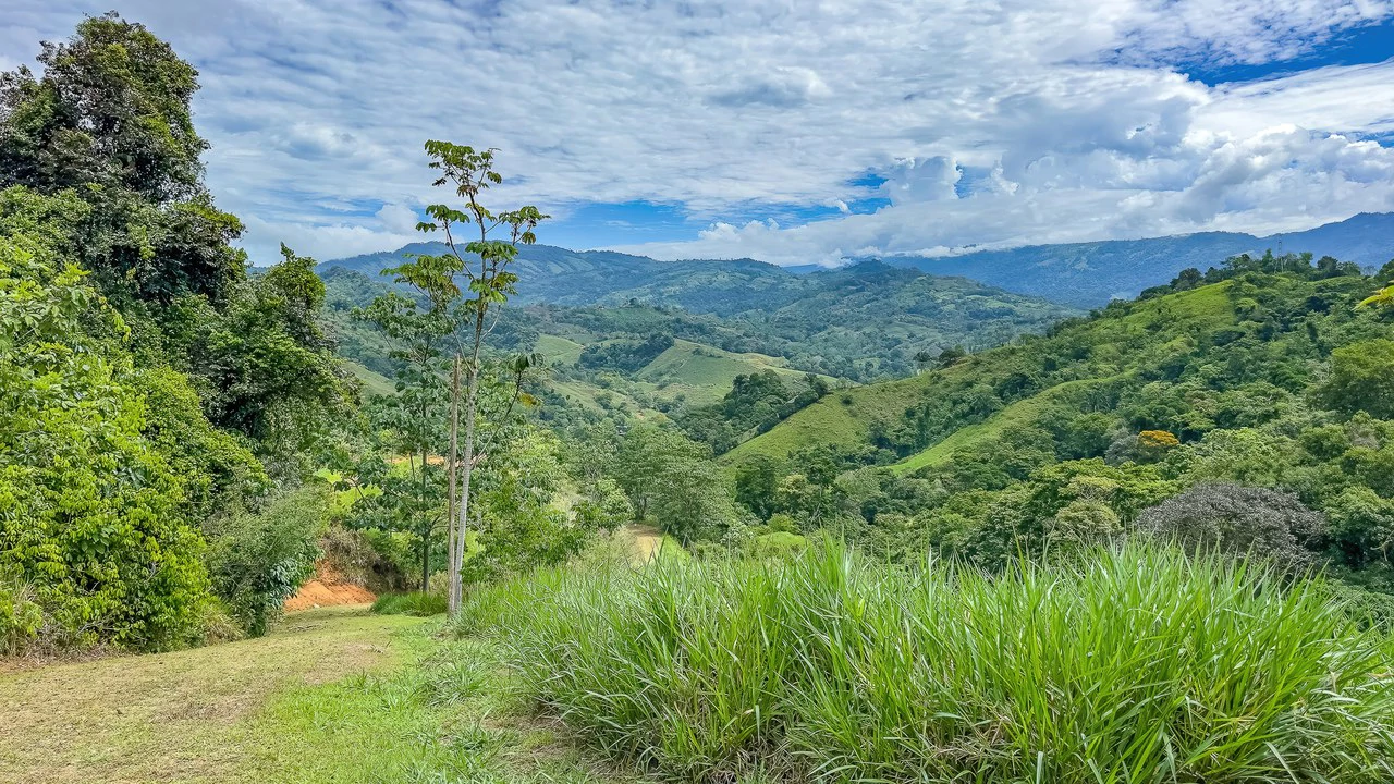 60+ Hectares in Platanillo | Own Your Own Mountain in Costa Rica - Gallery image 19