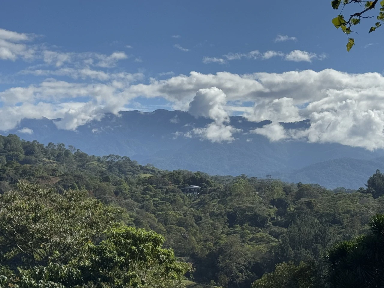 Stunning 2.4 Acre Property in Quebradas San Isidro del General - Gallery image 26