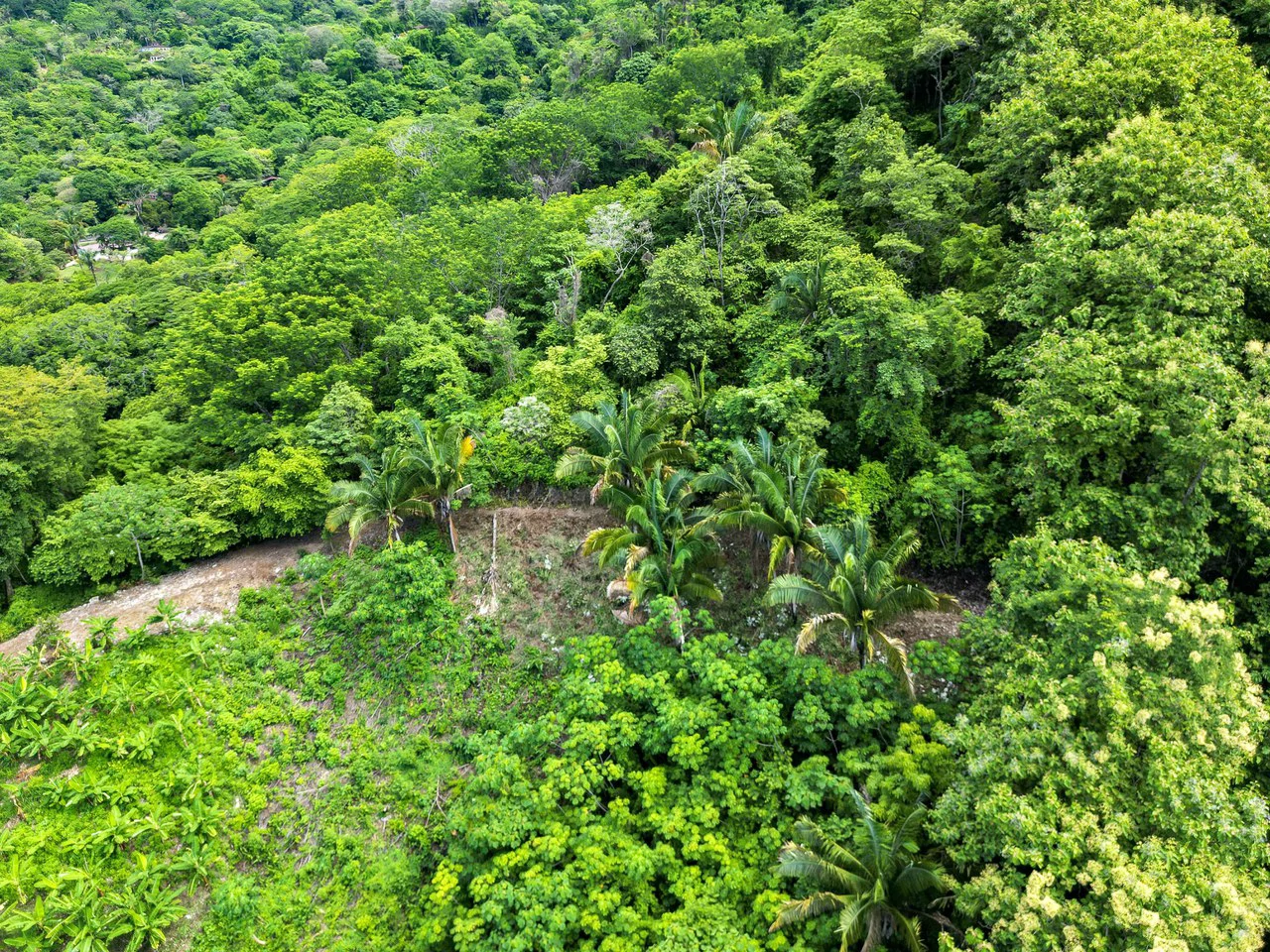 Finca Montana: 125 Acre Finca With Stunning Ocean Views - Gallery image 8