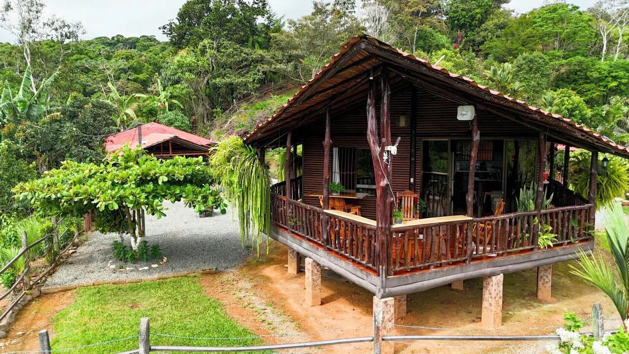 Charming Hardwood Cabin with Fruit Garden Near San Isidro - Gallery image 8