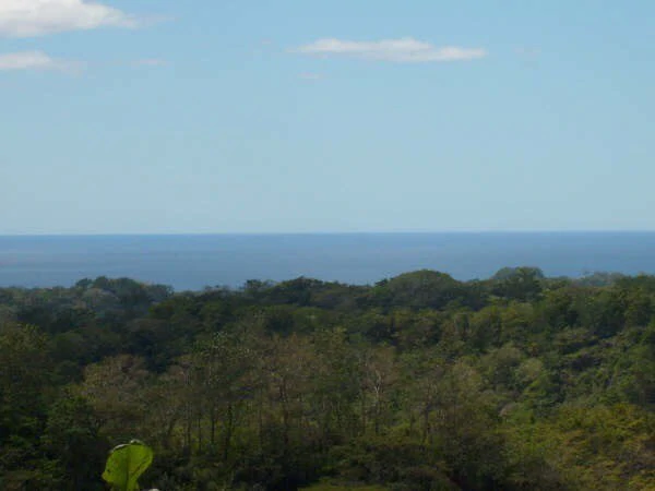 Ocean View Farm