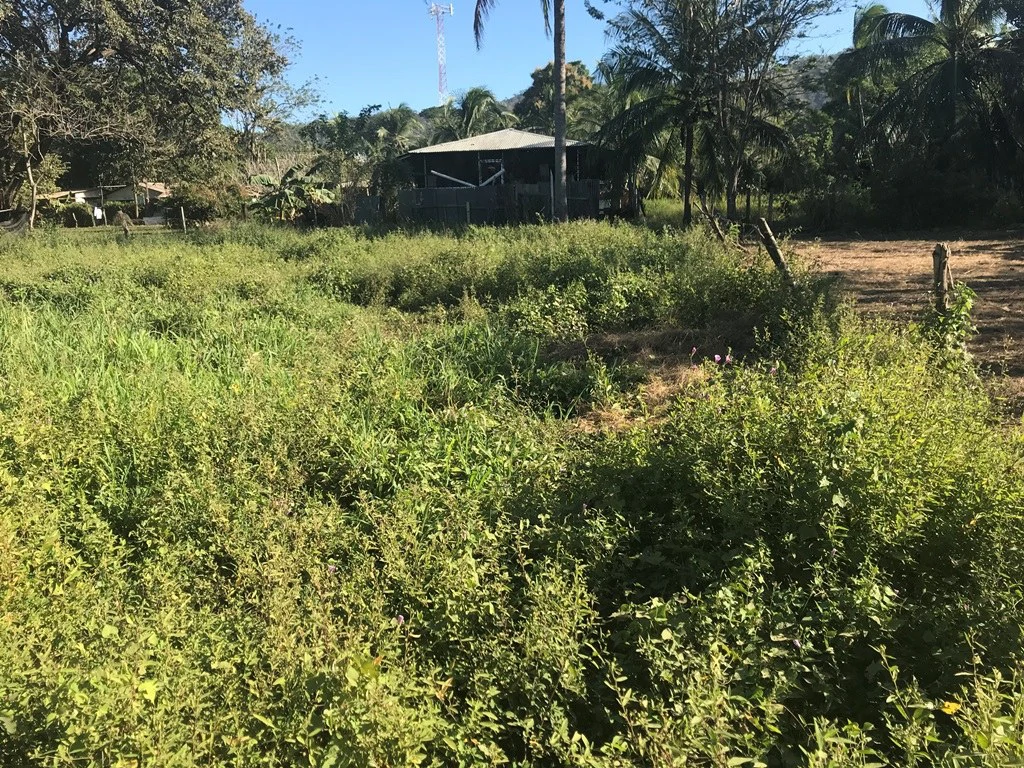 Large beach property in Playas del Coco - Gallery image 2