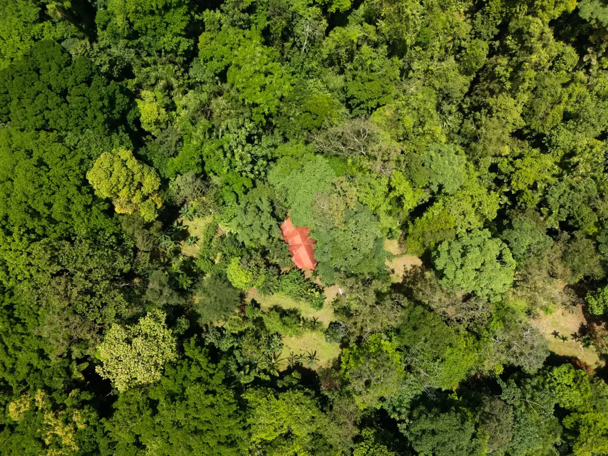 ID 26: 2 BD/2 BA Private Jungle Chalet in a Gated Community Near Hone Creek - Gallery image 28
