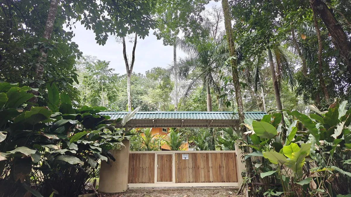 ID 1055: Elevated Jungle Residence on Expansive Riverfront Jungle Land - Gallery image 4